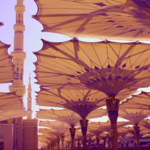 Umrah by Months