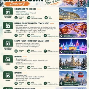 Alternative view of 6 Days 5 Nights Harbin Snow Town [valid till 03 Jan 2027]